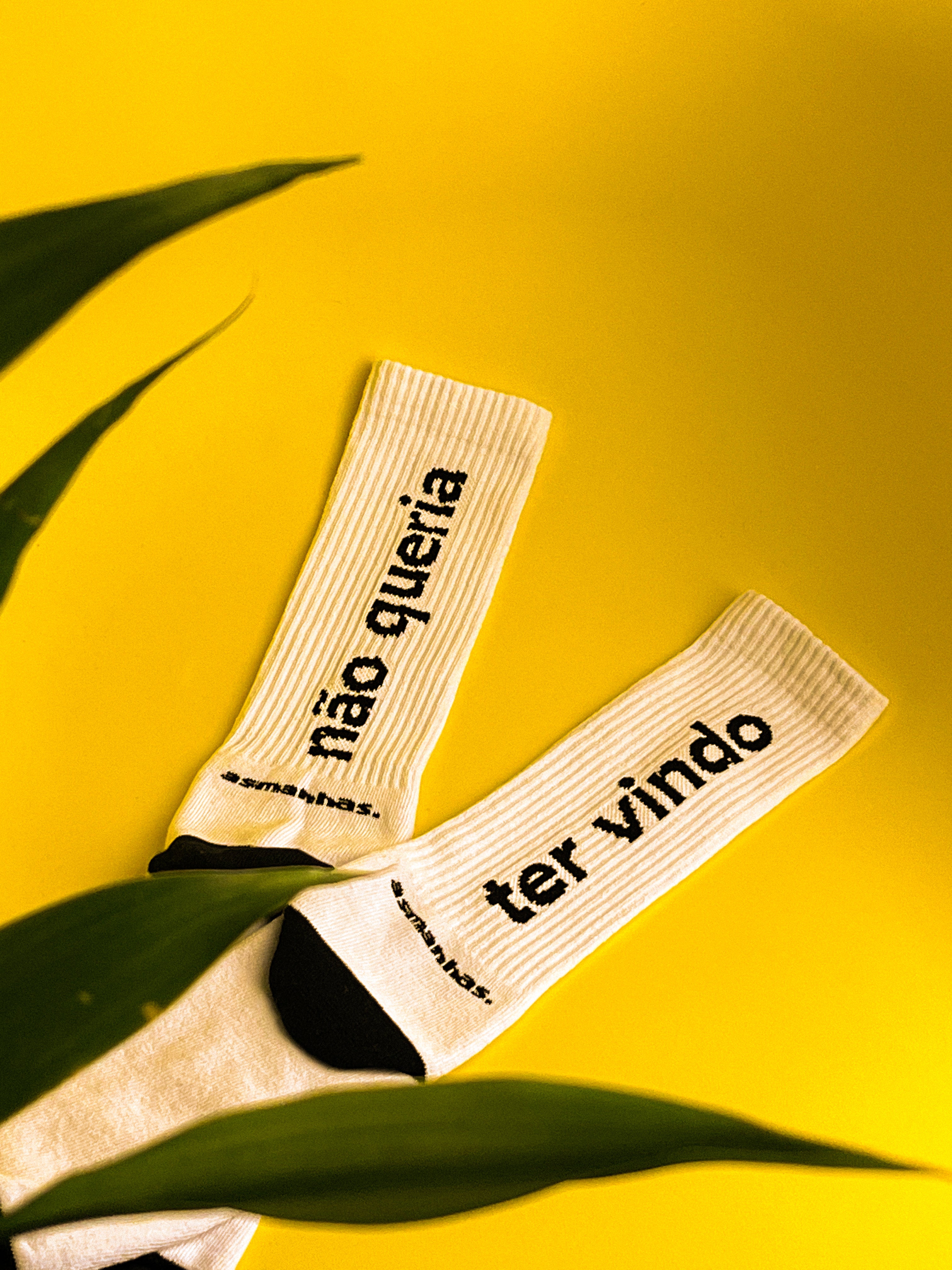 Meia Não Queria Ter Vindo Asmanhas - Branca