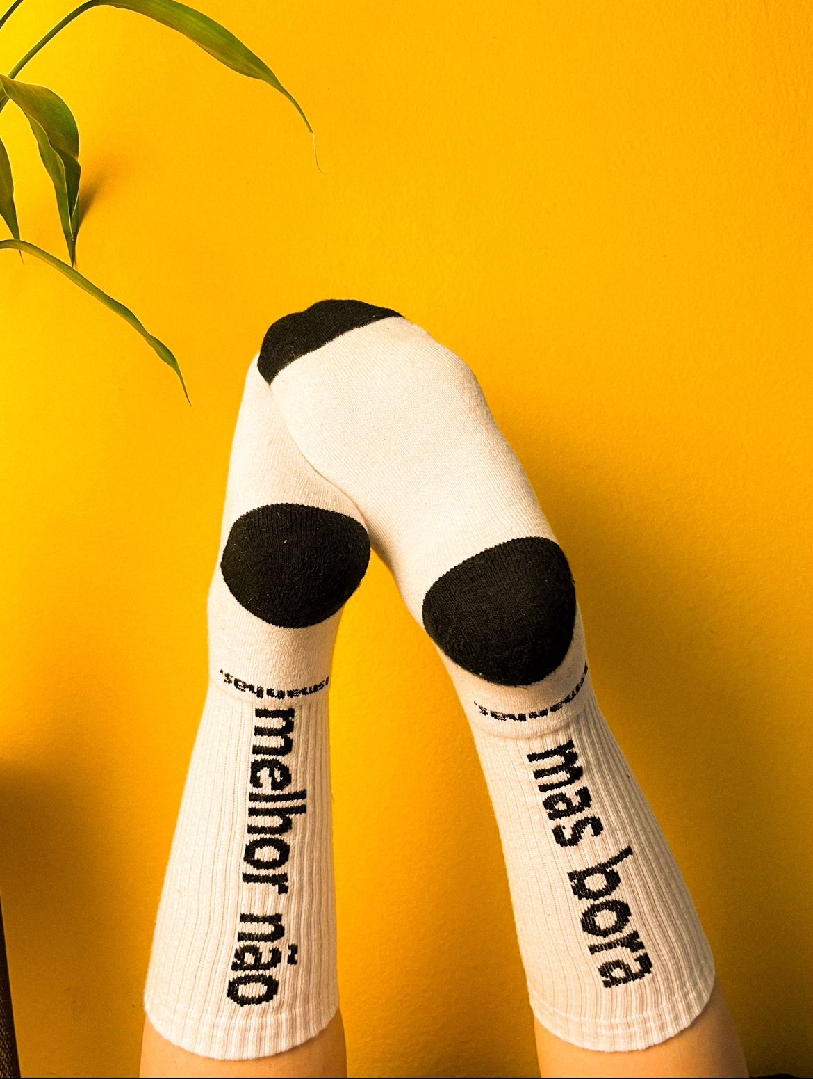 Meia Melhor Não, Mas Bora Asmanhas